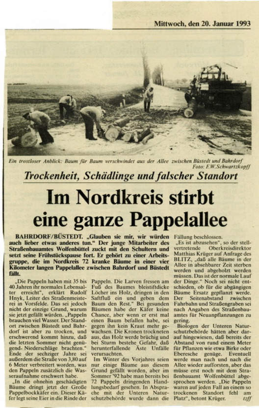 1993 01 20 Gemeinde Baumfllaktion Pappelallee nach Bstedt0011jpg
