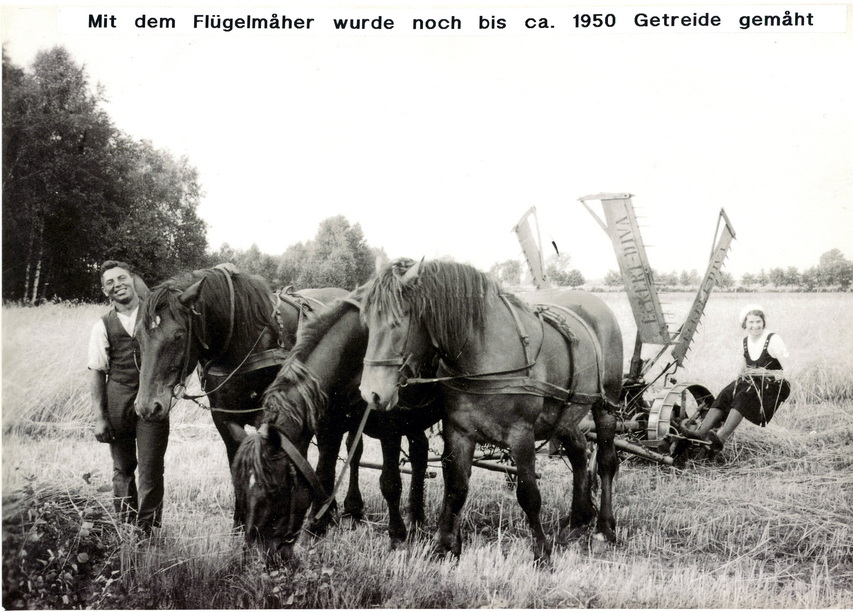 004Chronik Schafer 1098x