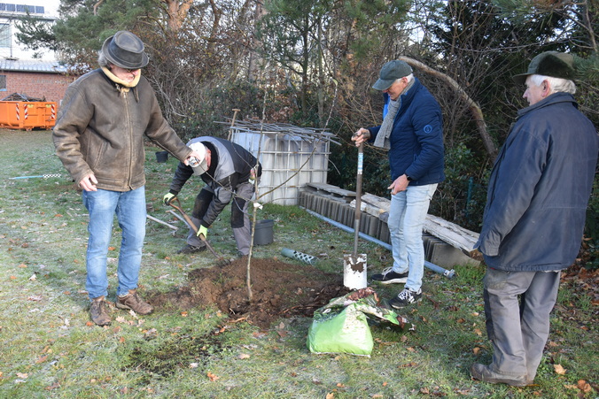 2025 11 22 Baumpflanz Challenge Internet 13x