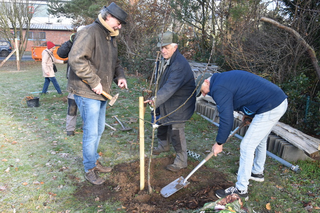 2025 11 22 Baumpflanz Challenge Internet 14.xJPG