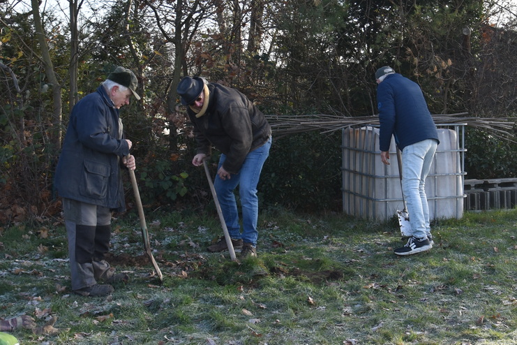 2025 11 22 Baumpflanz Challenge Internet 5xJPG