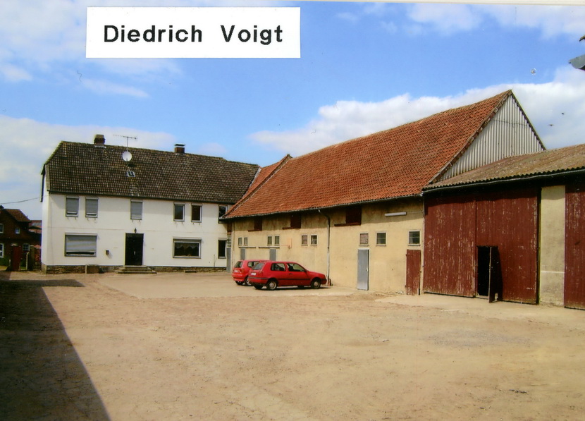2010 Diedrich Voigt001