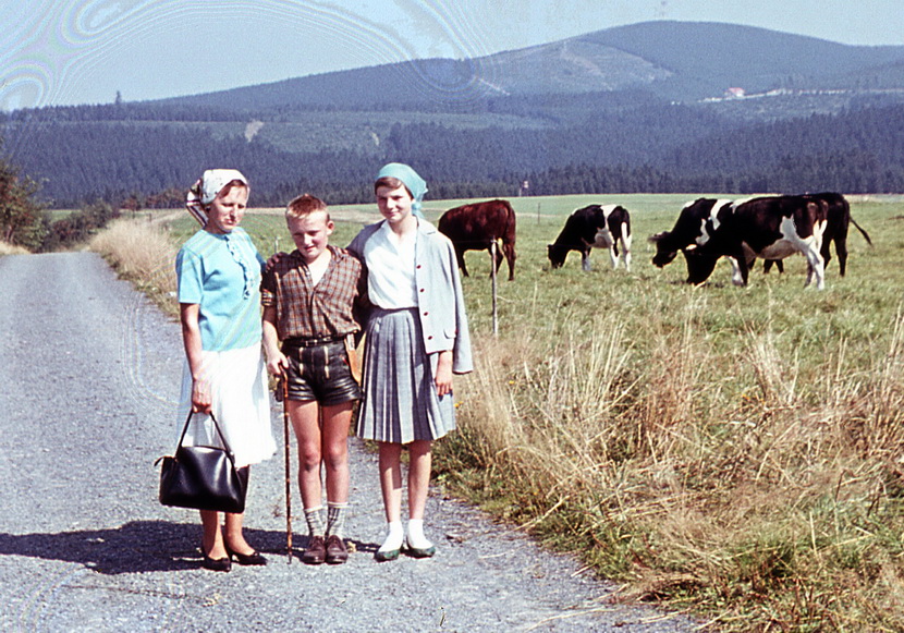 1964 Bockswiese August 017