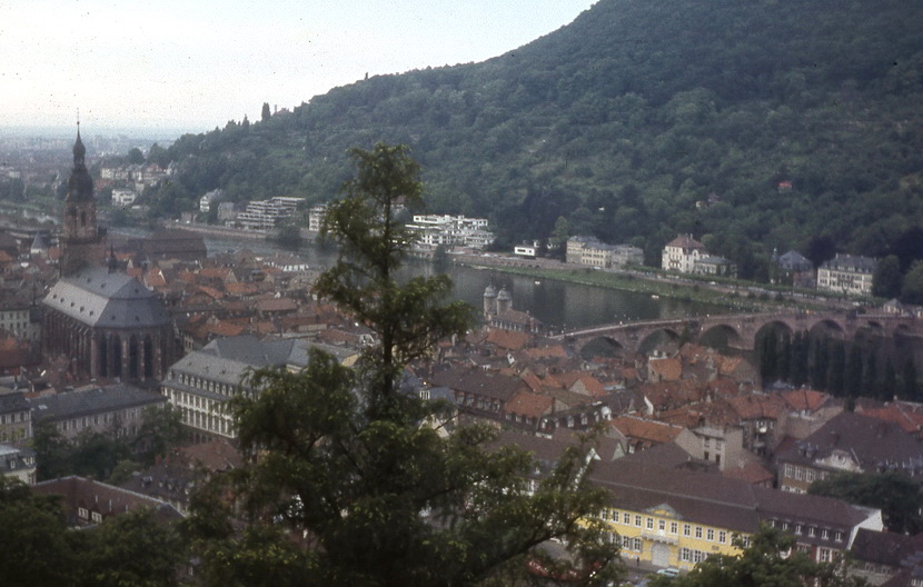 1974 Sportverein Heidelberg009