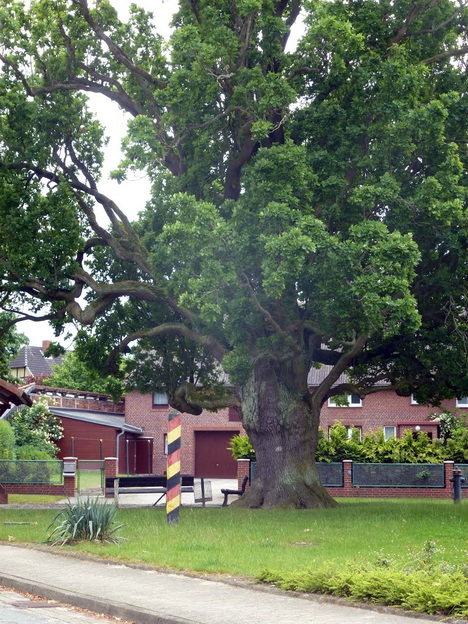 Dorfplatz Saalsdorf.neujpg