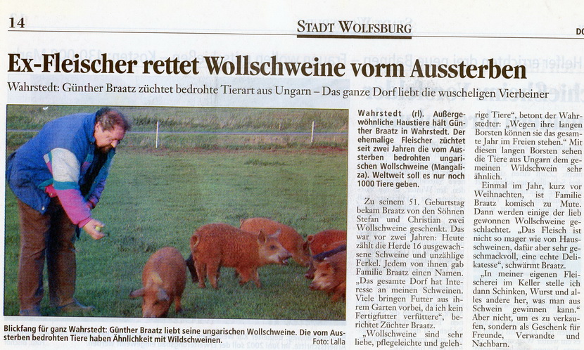 2001 11 01 Wollschweine Braatz0011jpg